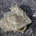 condom used