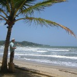 vakantie palmboom
